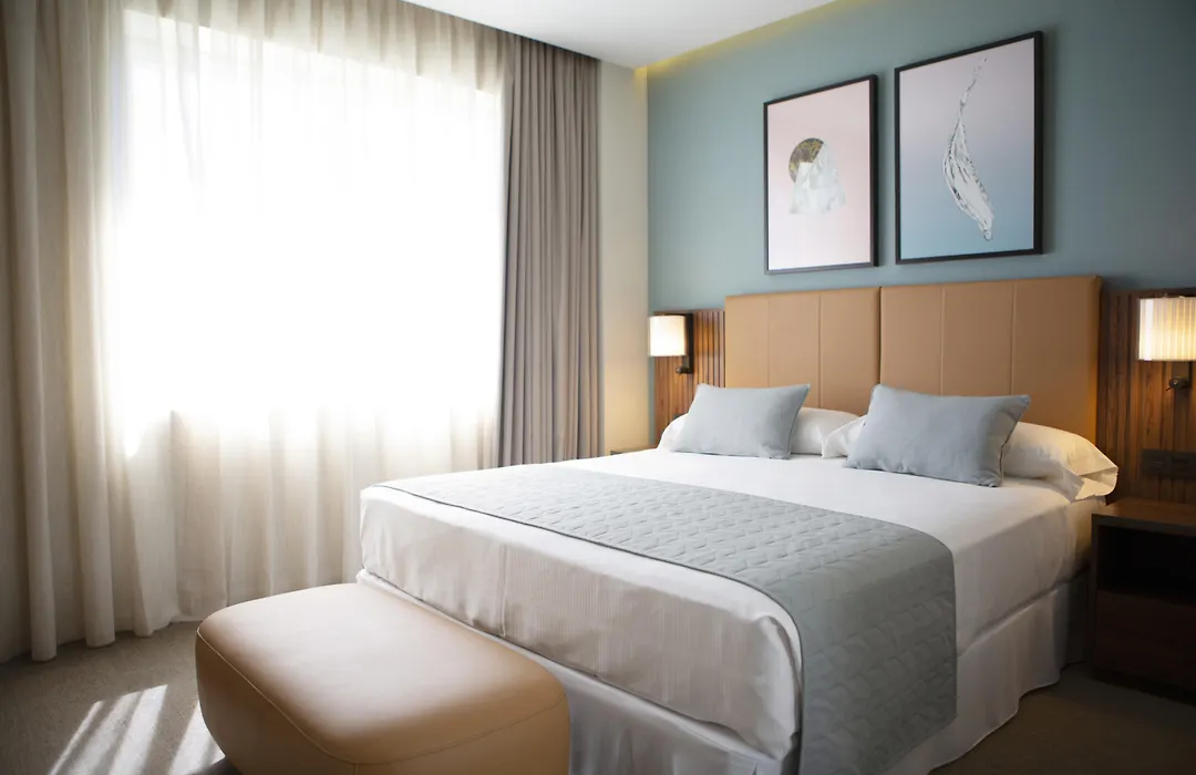 Riu Plaza Espana-1